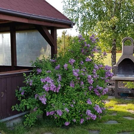 Dom W Skowronkach Villa Sasino Eksteriør bilde