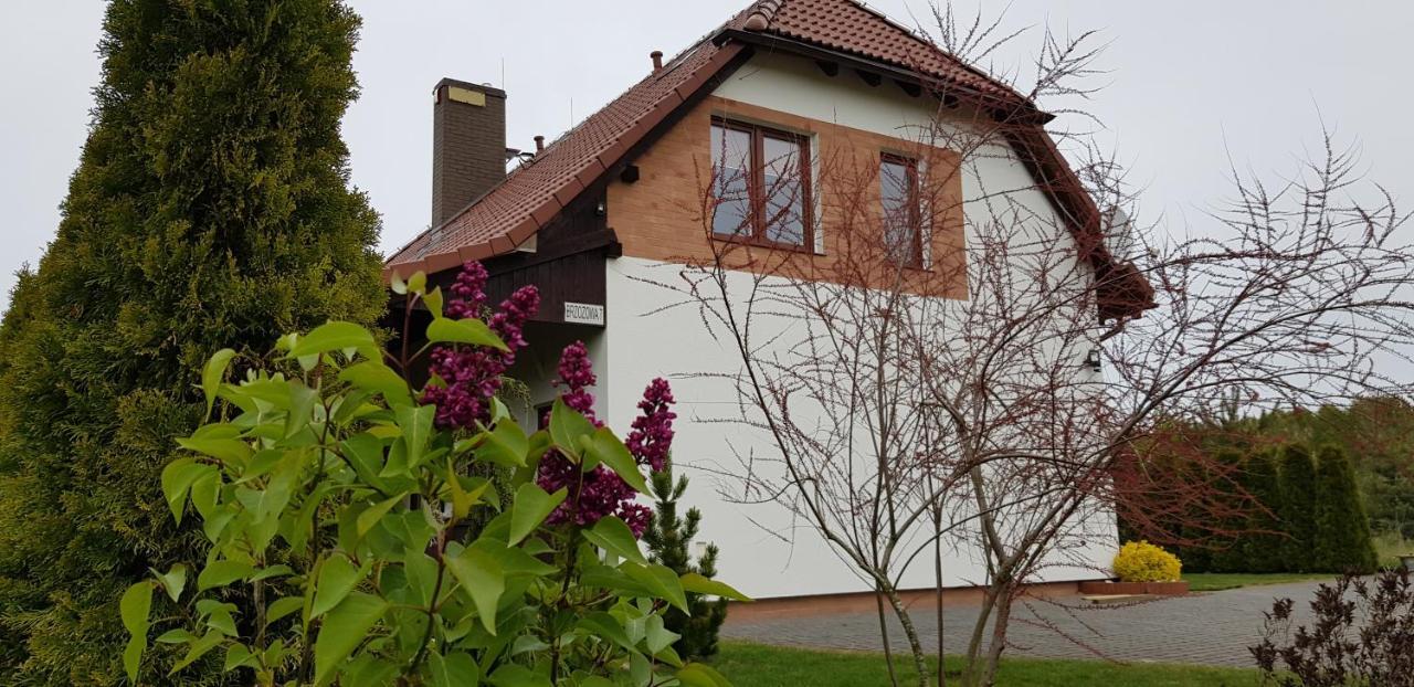 Dom W Skowronkach Villa Sasino Eksteriør bilde